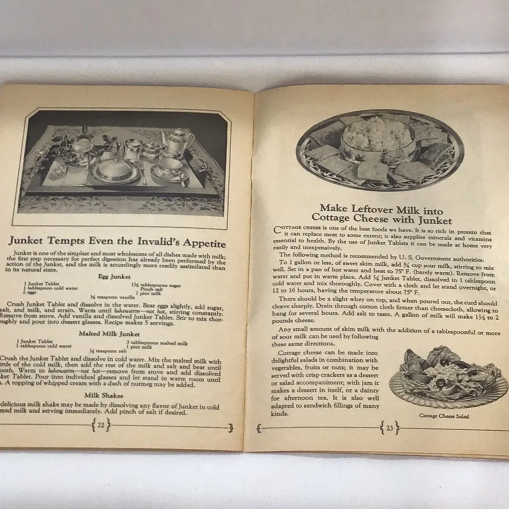 Antique 1923 Junket brand recipe booklet